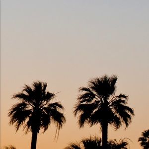 Meet your Posher, Lorencia